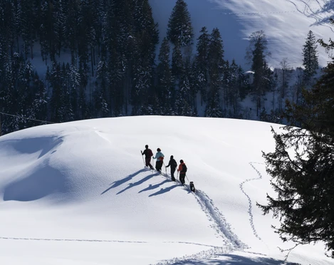 Schneeschuhtouren  Personen stapfen mit Schneeschuhen durch die tiefverschneite Rigi-LandschaftPeople trudge through the snow-covered Rigi landscape on snowshoesDes personnes marchent en raquettes à travers le paysage enneigé du Rigi.