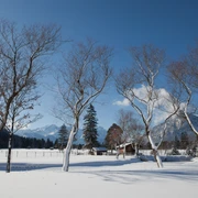 Foehrenheide-20100131_0004.jpg