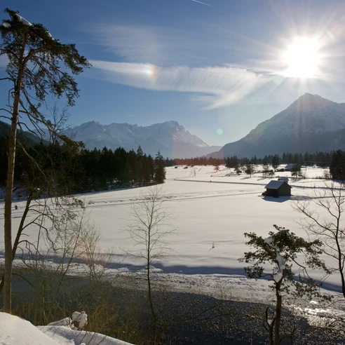 Föhrenheide im Winter 07.jpg