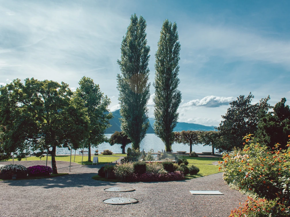 Kurpark Vitznau Sicht auf den KurparkView of the KurparkVue sur le Kurpark