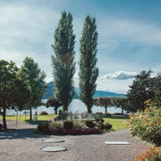 Kurpark Vitznau Sicht auf den KurparkView of the KurparkVue sur le Kurpark