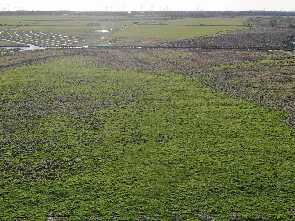 Westburg bei Kuden