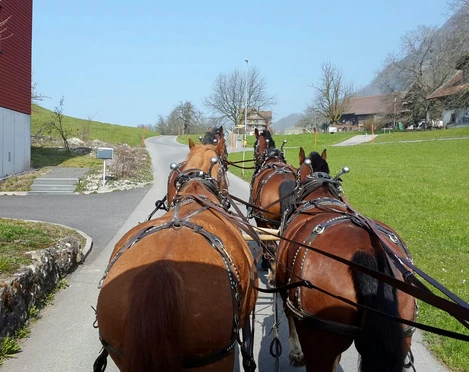 Pferdekutschenfahrt  Ausfahrt mit der PferdekutscheRide in a horse-drawn carriageSortie en calèche