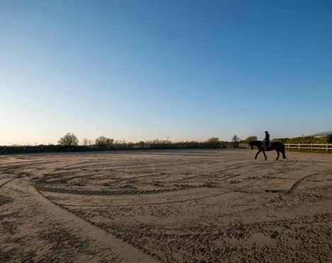 Reitplatz auf dem Carolinenhof