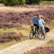 Auf dem Leine Heide Radweg durch die Heide Tolle Radtour durch die Lüneburger Heide
