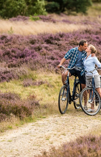 Auf dem Leine Heide Radweg durch die Heide Tolle Radtour durch die Lüneburger Heide