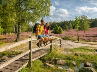 Heideschleife Büsenbachtal wandern Wanderweg mit Brunsberg und Büsenbachtal
