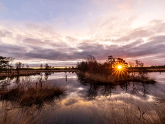 Heideschleife Pietzmoor Wanderung bei Sonnenaufgang Sonnenaufgang auf dem Wanderweg Heideschleife Pietzmoor