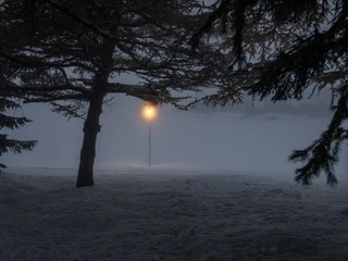 Lichterweg Riederalp Galerie 2