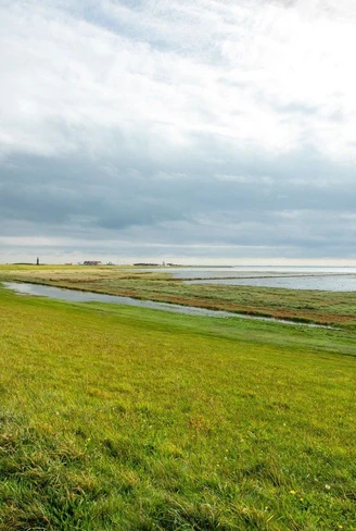 Haus Treibgut auf Juist