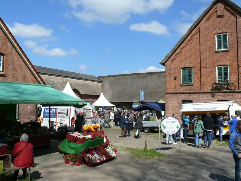 Elbmarschenhaus-Fruehlingsfest_web.jpg