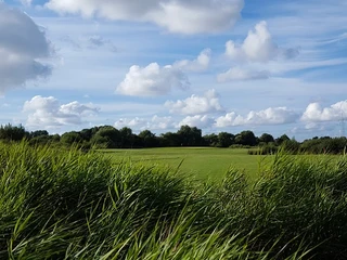 golfplatz-open-county-1x3