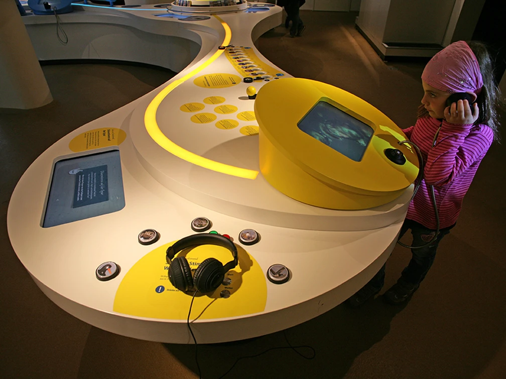 Interaktiver Tisch in der Ausstellung im Nationalparkhaus St Peter-Ording