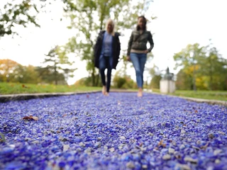 Barfußpfad im Erlebnis-Kurpark Bad Laer Barfußpfad Bad Laer