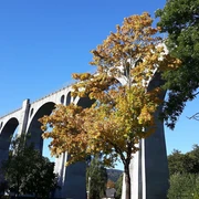 viadukt-oktober-2016 c) Ortrud Thiel.jpg