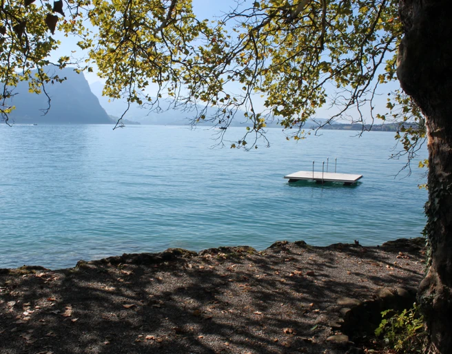 Brougierpark Aire de baignade Blick aufs Floss beim BrougierparkView of the raft at Brougierpark