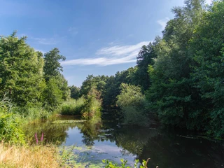 MEP017_Biberparadies_am_Altarm_AnjaPoker3.jpg