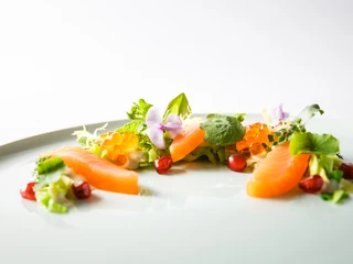 Kirberg Catering_Vorspeise_Lachs.jpg Vorspeise mit Lachs und SalatAppetizer with salmon and salad