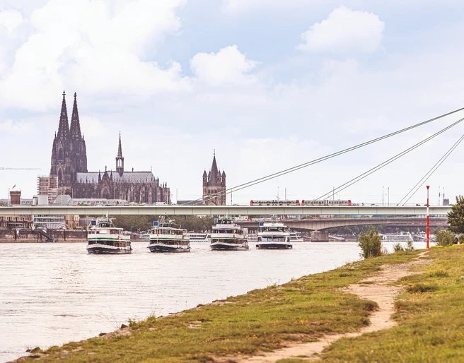 KölnTourist-Flotte KölnTourist-Flotte auf dem Rhein, im Hintergrund Kölner DomKölnTourist fleet on the Rhine, Cologne Cathedral in the background