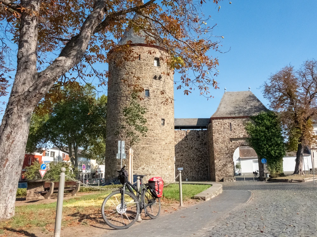 Wasemer Turm  Herbst Rheinbach