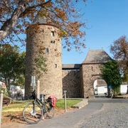 Wasemer Turm  Herbst Rheinbach
