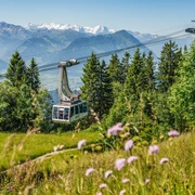 Bitte einsteigen in die Luftseilbahn Weggis-Rigi Kaltbad.jpg