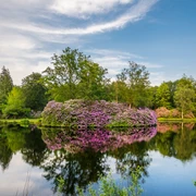 ©Friederike Hegner_2018_Schlosspark Lütetsburg_Parklandschaft-147.jpg