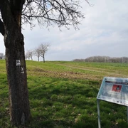 Archäologischer Pfad 3