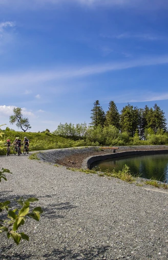 Hochheideturm und Bergsee auf dem Ettelsberg