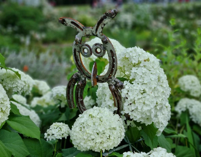 20210725 Gartenliebe Weisser Garten