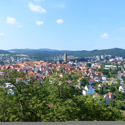 Altstadt Bad Wildungen von Schloss Friedrichstein