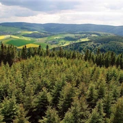 Blick vom Dommel