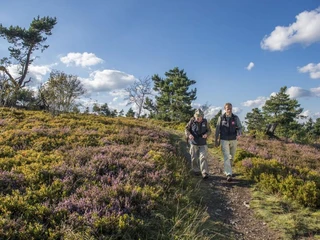 Wanderer in der Heidelandschaft am Kahlen Pön