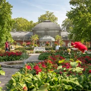 Palmengarten
