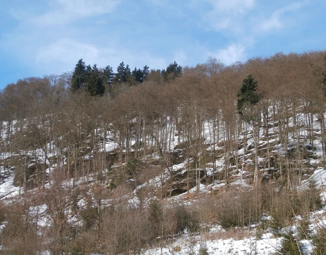 Naturschutzgebiet Grebensteine
