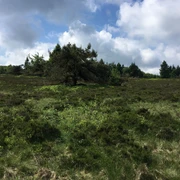 Landschaft am Wanderweg W6