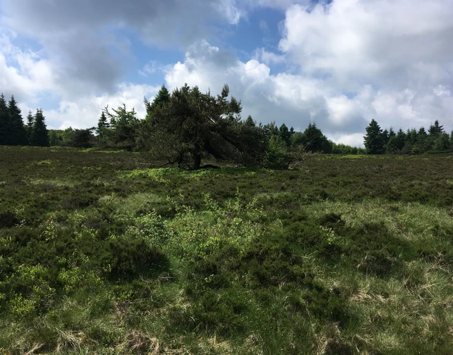 Landschaft am Wanderweg W6