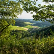 Aussicht am goldenen Zapfen in Siegerland