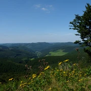 Wanderung Rund um den Härdler