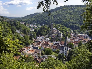 Blick auf Eppstein vom Bergpark Villa Anna