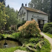 Forellengut Herzberger