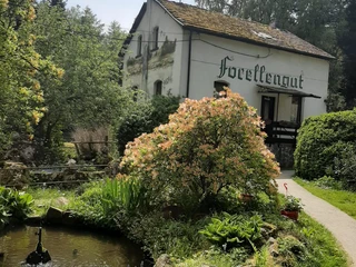 Forellengut Herzberger