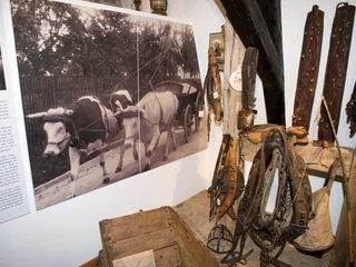 Heimatmuseum Seulberg