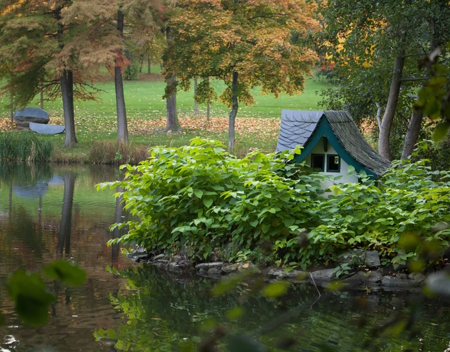 Victoriapark Weiher Detail