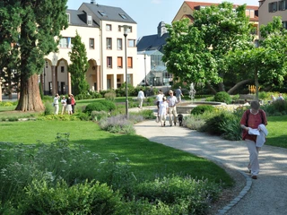 Schulgarten Foto KKK