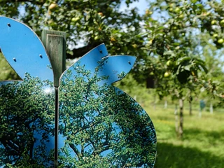 Erlebnisobstwiese