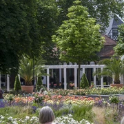 Bad Nauheimer Rosengarten