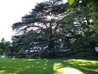 Schlosspark Bad Homburg