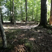 Kastell Maisel
