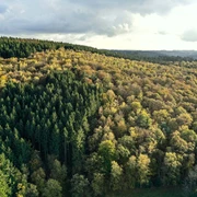 Der Sauerländer Wald ist Thema dieses Wanderweges